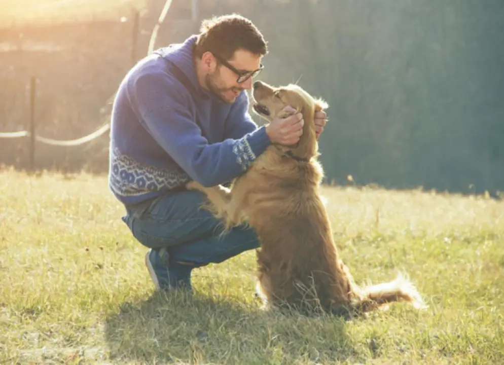 Are pets really man's best friend?