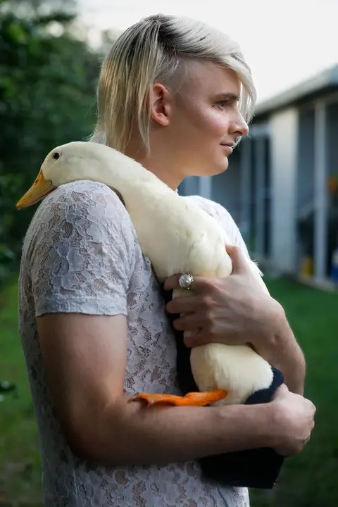 Is it legal to own ducks as pets in the United States?