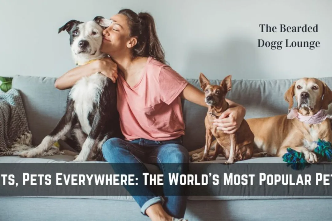 What is the most popular pet in the world?