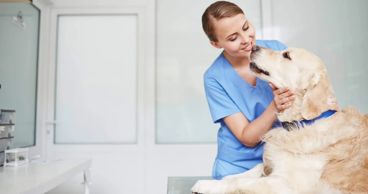 Is it better to set aside money for vet bills or buy pet insurance?